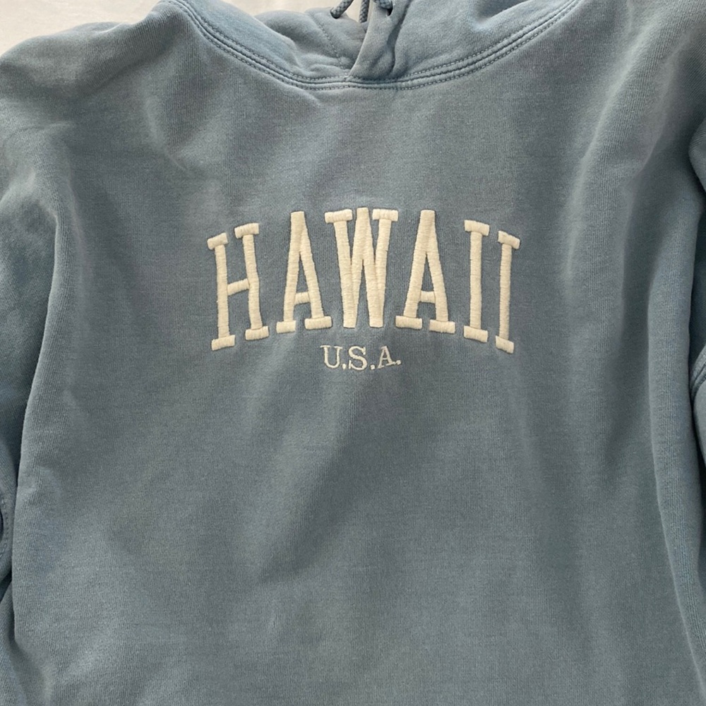 light blue hawaii brandy melville sweatshirt